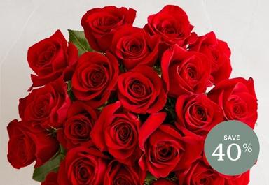 Header navigation sub menu