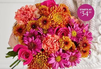 Header navigation sub menu